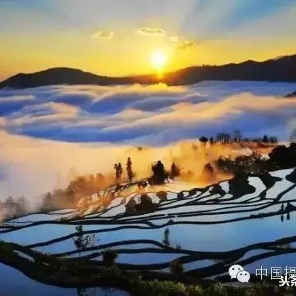 新澳最新版资料心水|最新解答解释落实_显示型.5.100